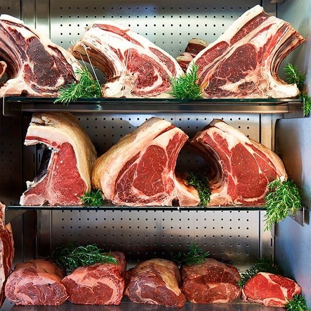 Moda Nueva, Carne Vieja Moda Nueva, Carne Vieja